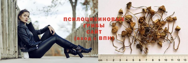 хмурый Бронницы