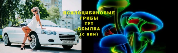 хмурый Бронницы